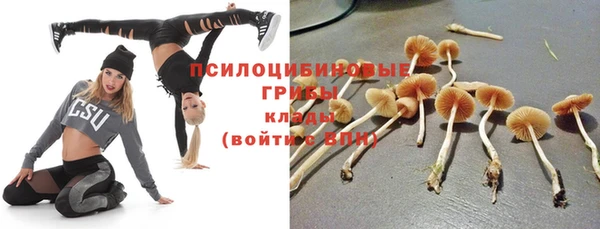 стаф Баксан