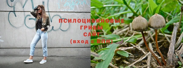 дурь Белокуриха